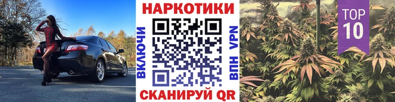 Где купить наркоту Великий Новгород Марихуана  Псилоцибиновые грибы  Меф мяу мяу  Alpha-PVP 