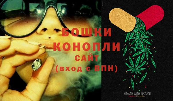 дурь Новодвинск