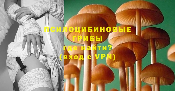 экстази Новозыбков