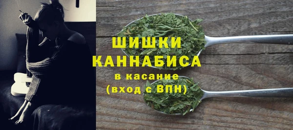 дурь Новодвинск