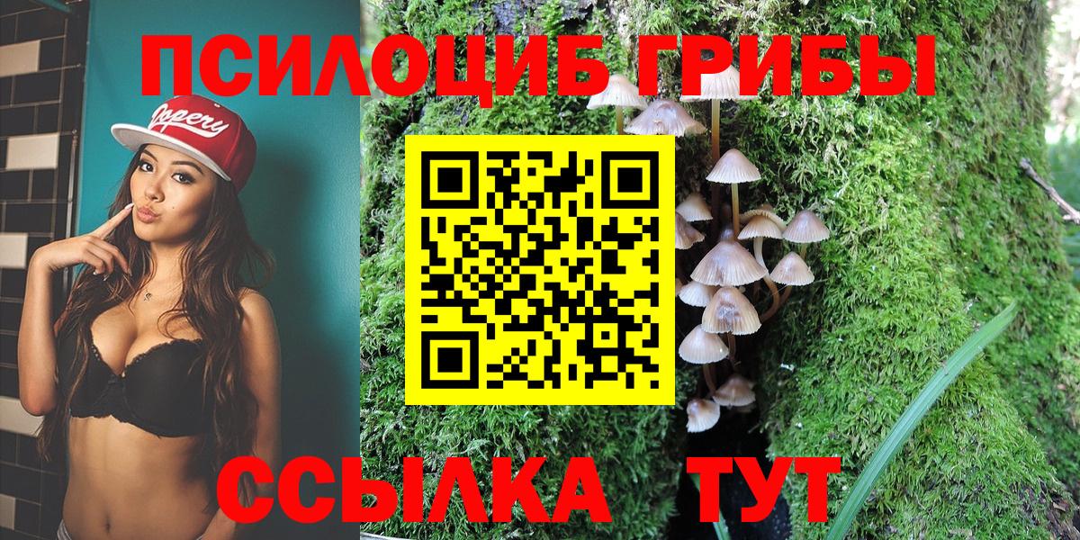 Галлюциногенные грибы Psilocybine cubensis Великий Новгород