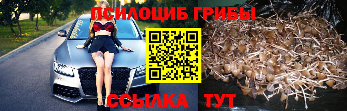 Экстази Великий Новгород