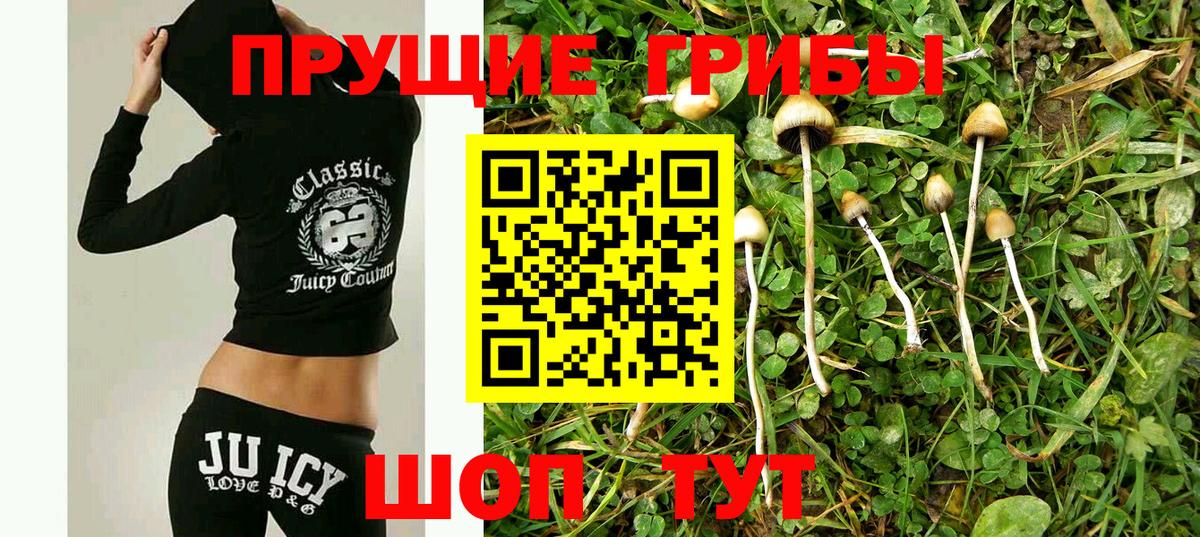 Галлюциногенные грибы MAGIC MUSHROOMS Великий Новгород